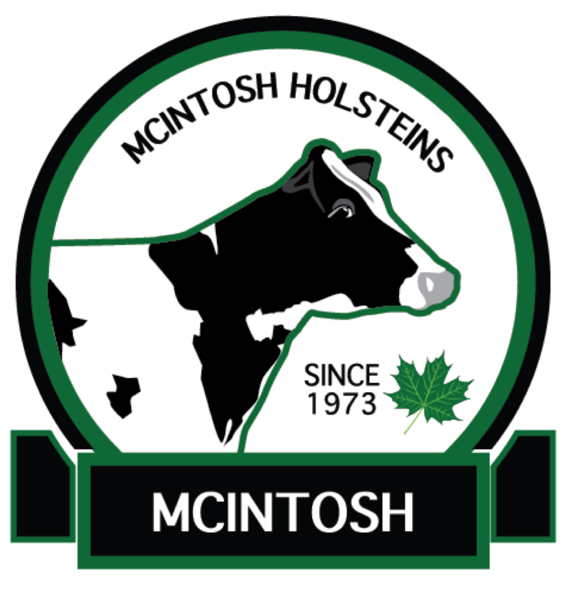 https://embrosoccer.ca/wp-content/uploads/sites/3018/2025/06/image2.jpeg